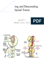 Ascending and Descending Spinal Tracts 2016