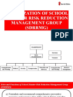 SDRRMG Org'l Structure