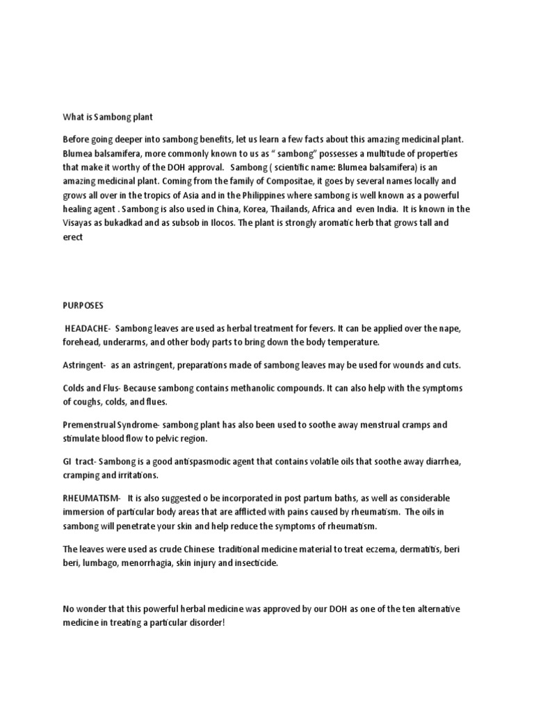 What is sambong plant pdf
