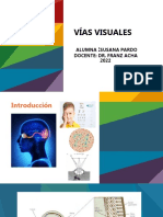 VÍAS VISUALES -Susy