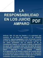 RESPONSABILIDAD AMPARO