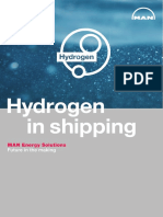 Hydrogen in Shipping