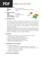 Plan de Salida Al Vuelo de Cometa