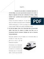 Tarea N°2-Pract-Microscopio