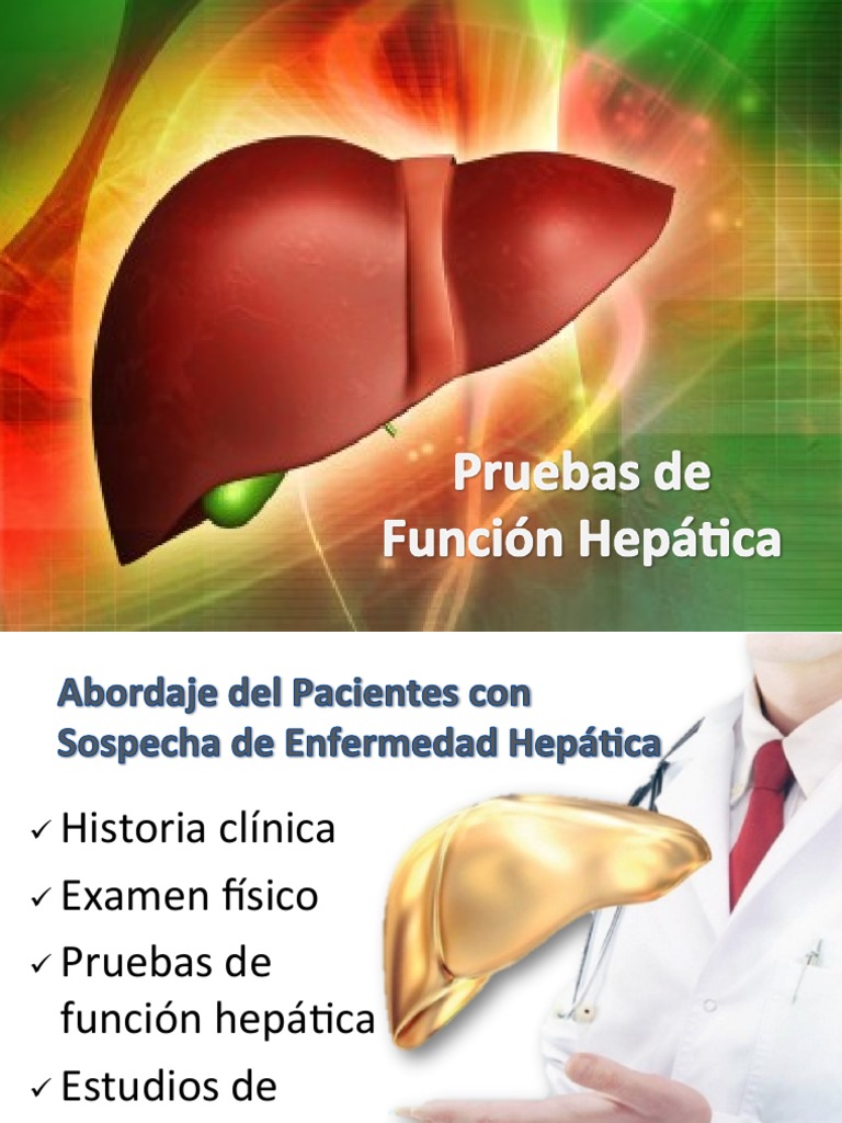 Pruebas de Función Hepática PDF Transaminasa Especialidades Medicas