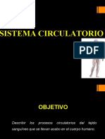 8A Sistema Circulatorio