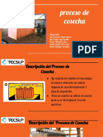 Procesa de Cosecha