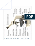 Partes Del Microscopio