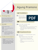 CV Ayang