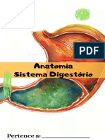 Anatomia Sistema Digestório