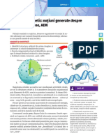 Materialul Genetic - K