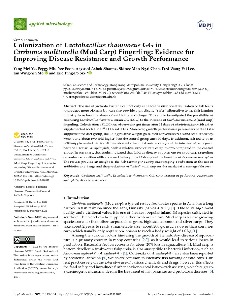 Colonization of Lactobacillus Rhamnosus GG in PDF Probiotic