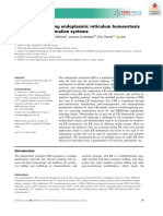 A Guide To Assessing Endoplasmic Reticulum Homeostasis