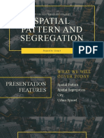 Spatial Pattern and Segregation (Group 4)
