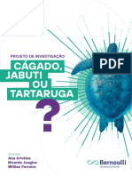 Conhecendo os répteis: cágados, jabutis ou tartarugas