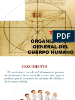 T.1 Organización General Del Cuerpo Humano