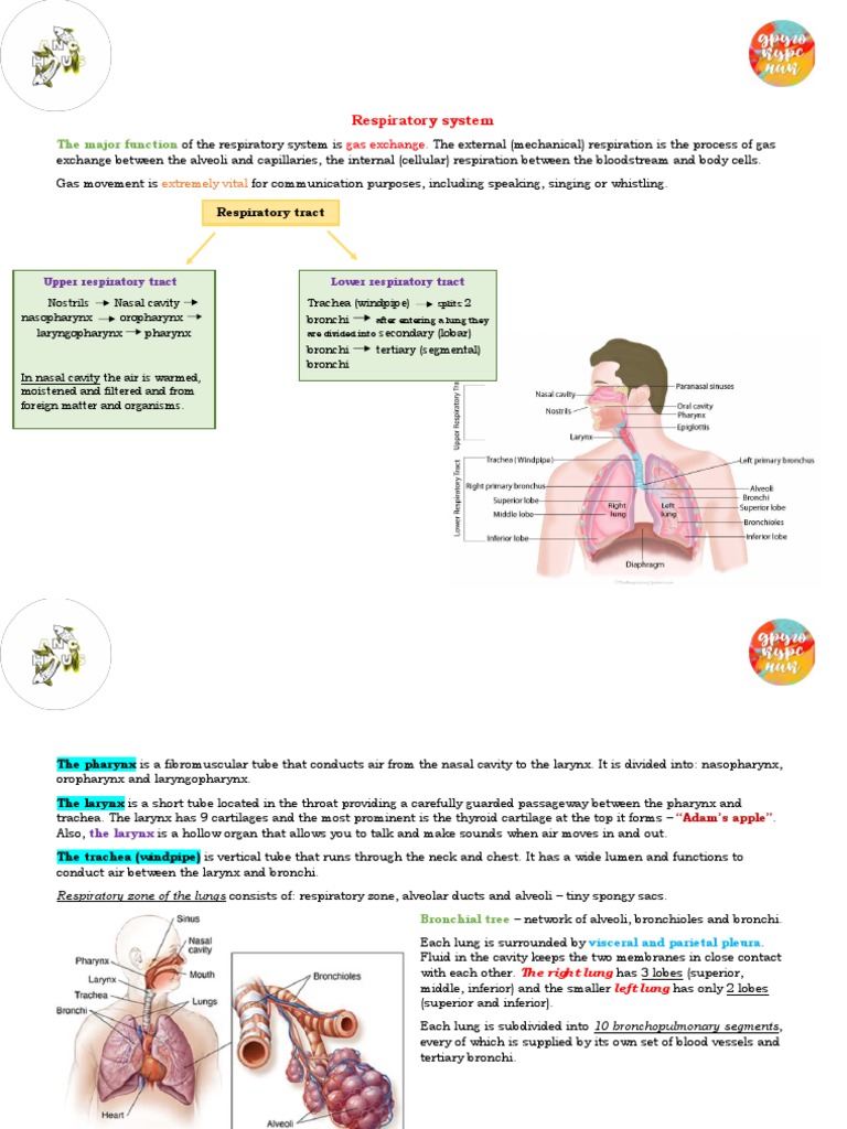 Medical English | PDF