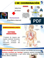 Sistema Endocrino Parte 1