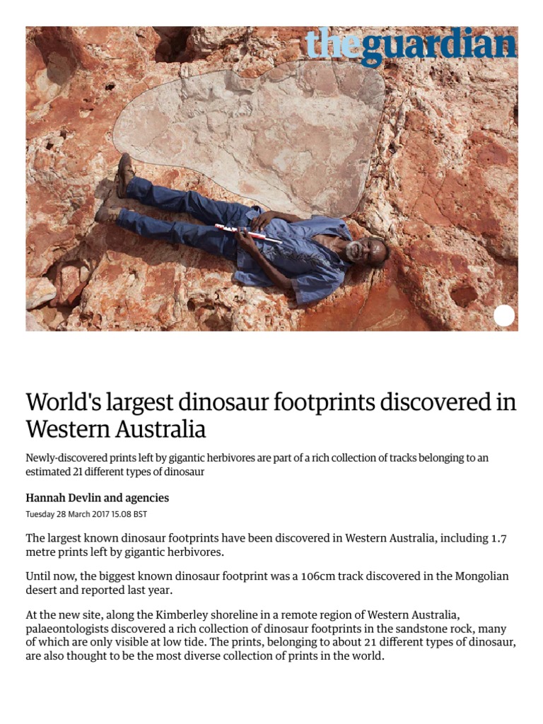 Largest Dinosaur Footprints Found