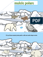 RO T T 4798 Winter Arctic Animals Habitat Powerpoint Romanian