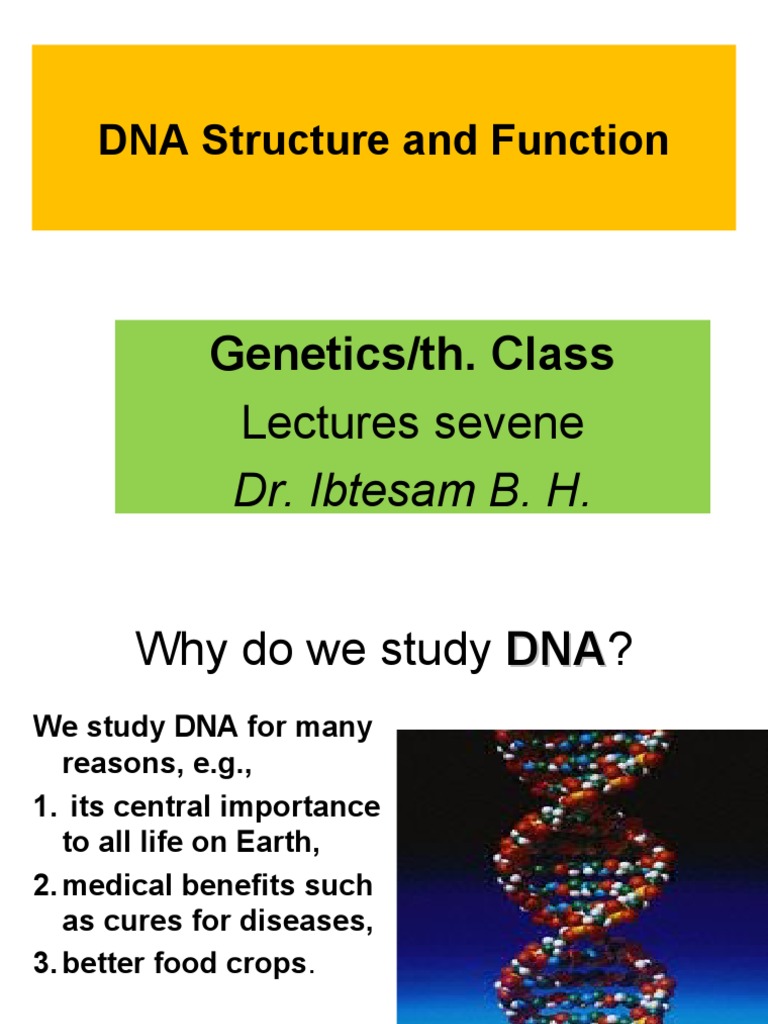 DNA Structure | PDF