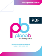 Plano B Energético - Apresentação - Versão para Impressão