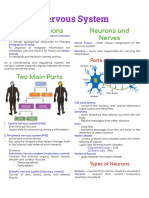 AnaPhy Unit 5 Notes Reviewer