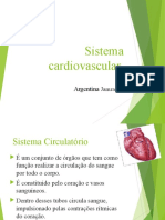Sistema Cardiovascular230220110942
