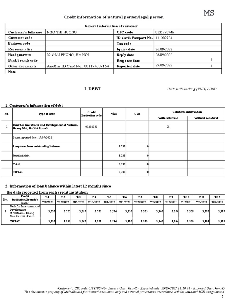 Analyzing Credit History An inDepth Look at an Individual's Loans