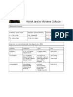 Cv. Haxel Simplificado