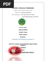 Download artikel BUAH NAGA by Entik Suticha SN59986449 doc pdf