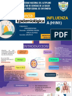 Vigilancia Epidemiologica de La Influenza Ah1n1