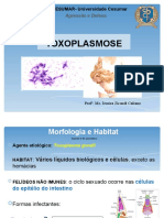 Toxoplasmose: morfologia, ciclo de vida e manifestações clínicas