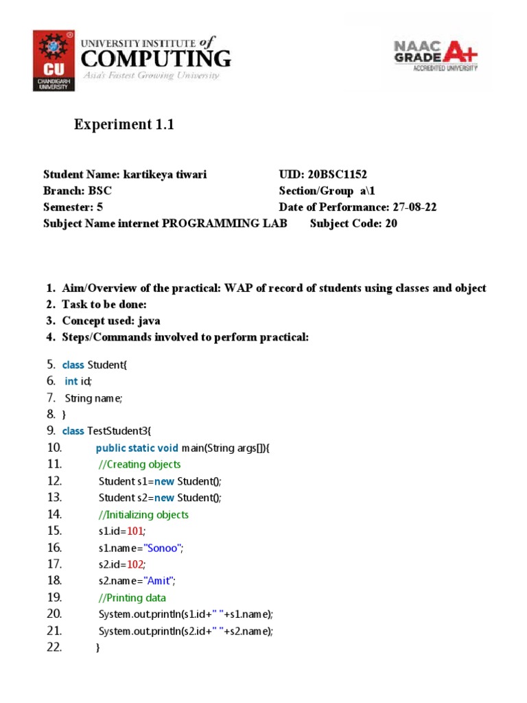 IPL Worksheet 1 | PDF