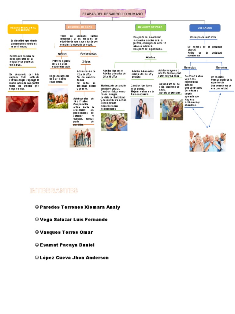 Etapas del Desarrollo Humano | PDF | Adultos | Vejez
