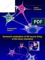Serotonin and norepinephrine modulation in the locus coeruleus