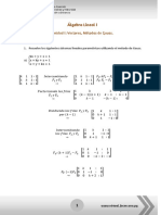 Ejercicios Resueltos-Stma Parametricos