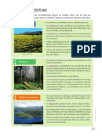 C.Y TECNOLOGÍA-Ecosistemas y Desastres Naturales-Quinto de Primaria