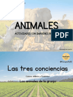 Animales