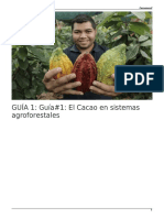 Guía#1-El Cacao en Sistemas Agroforestales