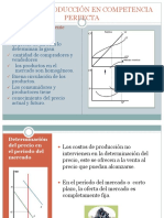 Precio y Produccion en Competencia Perfecta