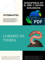 Lombriz de Tierra