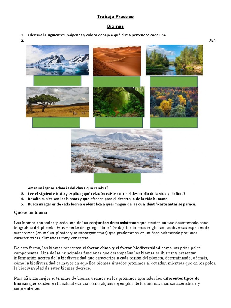 Tipos y características de los biomas | PDF | Clima | Ecología