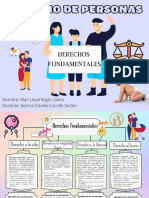 ORGANIZADOR VISUAL - Derechos Fundamentales