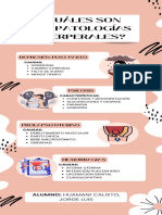 Infografía Patologías Puerperales