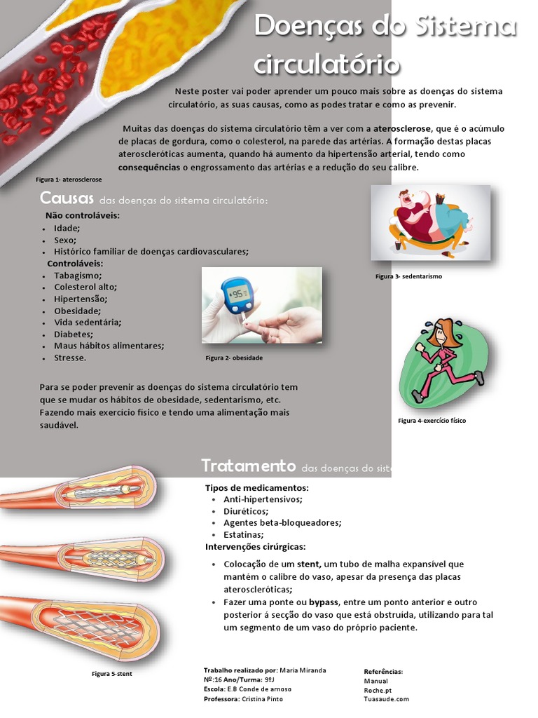 Doenças do Sistema Circulatório: Causas e Tratamentos | PDF