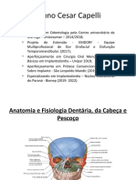 Anatomia Dental Curso