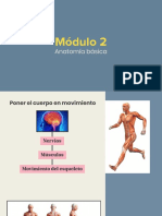 Diapositivas Modulo 2 Curso Ergonomia