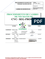 Cvc-Seg-Pro01 Cambio de Neumatico