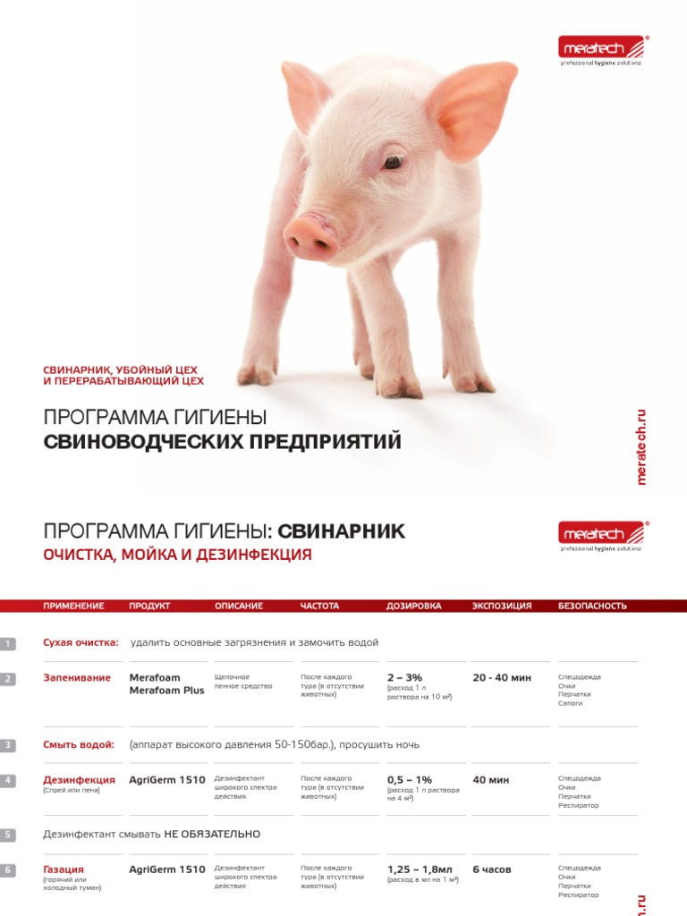Programma Gigieny Svinovodcheskih Predpriyatiy 2013 G. Alyans | PDF